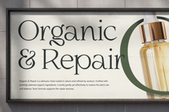 Slowdate - Beauty Elegant Ligature Serif Product Image 8