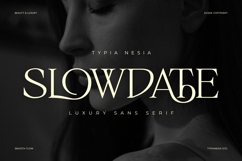 Slowdate - Beauty Elegant Ligature Serif Product Image 1