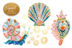 Shells & Sea Snail Tropical Reef Clipart Product Image 1