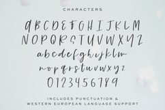 Small Things Script Product Image 10