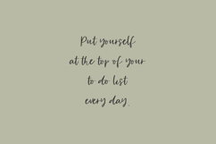 Small Things Script Product Image 7