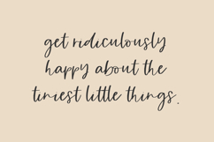 Small Things Script Product Image 9