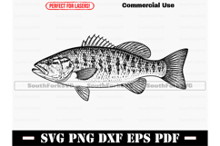 Smallmouth Bass SVG PNG EPS PDF DXF Product Image 1