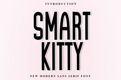 Smart Kitty Product Image 1