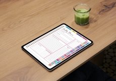 Monthly , Finance,Weight,Digital Planner Product Image 15