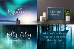 The Winter Font Bundle Product Image 9
