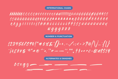 Smoothie Delights - A Versatile Brush Font Product Image 10