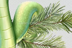 Snake Christmas illustration | PNG Sublimation design Product Image 3