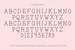 Snapdragon Serif Font Product Image 10