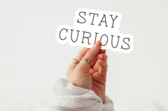 Snapdragon Serif Font Product Image 6