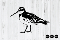 Snipe Bird Wader SVG, Bird SVG Product Image 1