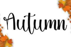 Snoopy Product Image 7