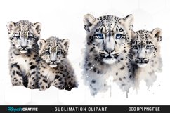 Watercolor Snow Leopard Sublimation PNG Clipart Product Image 1