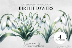 Birth Month Flowers Clipart, January Snowdrop PNG. Product Image 1