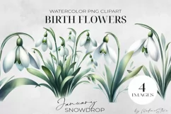 Birth Month Flowers Clipart, January Snowdrop PNG. Product Image 1
