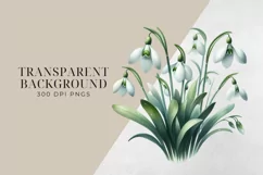 Birth Month Flowers Clipart, January Snowdrop PNG. Product Image 2