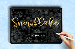 Snowflake Procreate Brush | Dispersed Snow Texture Broken Product Image 2