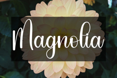 Snowing Christmas Product Image 5