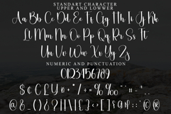 Snowing Product Image 7