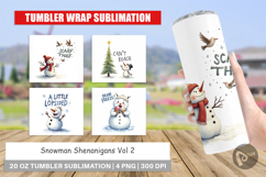 Snowman Shenanigans Tumbler Product Image 1