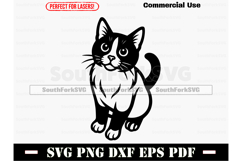Snowshoe Cat Begging Design SVG PNG DXF EPS PDF Product Image 1