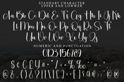 Snowthing Product Image 4