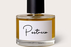 Snowtime Paradise Product Image 4