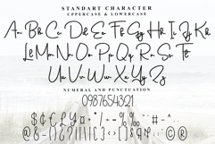 Snowtime Paradise Product Image 7