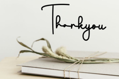 Snowtime Paradise Product Image 8