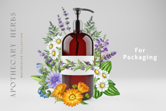 Apothecary Herbs Illustration Set Product Image 6