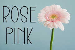 Social Media Product Image 4