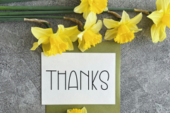 Social Media Product Image 8