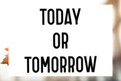 Soft Elegant Product Image 8