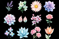 soft pastel plant clipart, crystal flower PNG, watercolor botanical illustration, pastel crystal leaf, hand-painted floral clipart, magical plant watercolor, translucent crystal flowers, pastel botanical PNG, crystal rose stem, soft pastel monstera, cryst