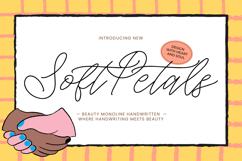 Soft Petals Product Image 1