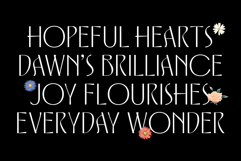 Solistice Nova Product Image 3