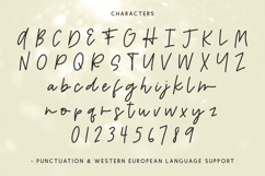 Solstice Script Product Image 10