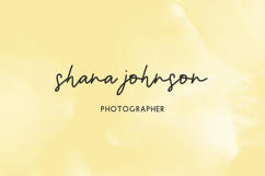 Solstice Script Product Image 7