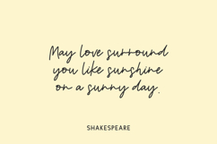 Solstice Script Product Image 8