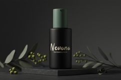 Solvina Elegant Script Font Product Image 4