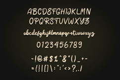 Solvina Elegant Script Font Product Image 9