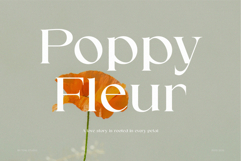 SOMER | modern and elegant serif Product Image 4