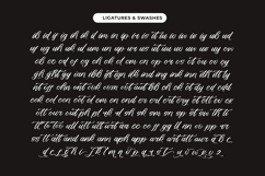 Somethin Rustica - Modern Handwritten Font Product Image 19