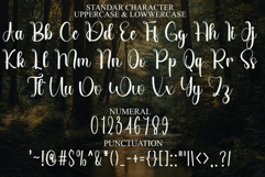 Something Valentine Product Image 7