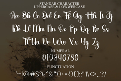 Something Vintage Product Image 2