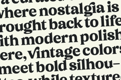 Sonttak - Bold Serif Display Font Product Image 8