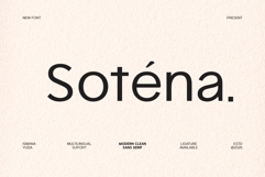Sotena Product Image 1
