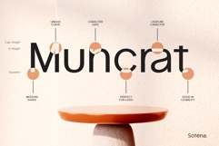 Sotena Product Image 4