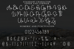 Soulmate Product Image 3