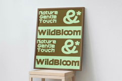 Sound Groove - Display Sans Serif Font Product Image 3